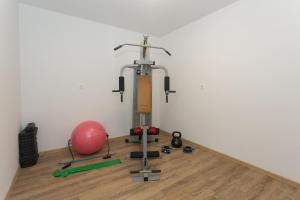 Fitness centrum a/nebo fitness zařízení v ubytování Villa Honey