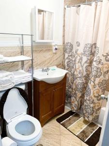 een badkamer met een toilet, een wastafel en een douche bij Rochester's Place in Brooklyn