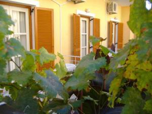 A garden outside Rantos Apartments