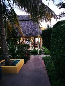 Jardí fora de Casa Xu´unan 13 fotos més