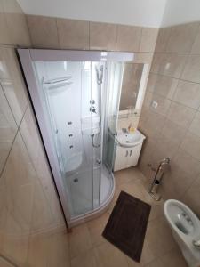 a bathroom with a shower and a sink and a toilet at Villa Ilona in Primošten