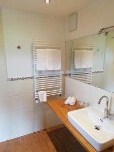 a bathroom with a sink and a mirror at Tirol Appartement Haus Zillertal in Zell am Ziller