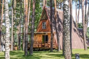 a cabin in the woods with trees at Papartis in Ažuluokesa