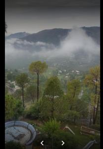 a view of a valley with trees and clouds at Abbasi Hotel in Murree