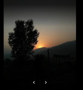 a silhouette of a tree with the sunset in the background at Abbasi Hotel in Murree