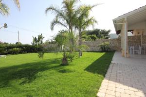 a yard with a palm tree and a house at VILLA ROSA in Torre Suda