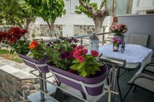 Gallery image of Villa Marmari 2 in Marmarion +22 photos