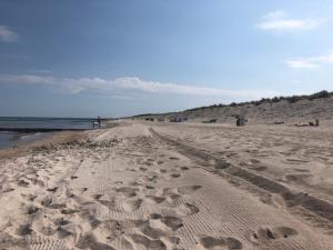una playa de arena con huellas en la arena en Ferienwohnung Heimathafen Küstenwald en Gelbensande