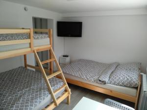 a bedroom with a bunk bed and a television at Noclegi NAD NILEM in Zator