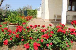 A garden outside Bio Casale Marchesi