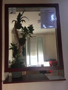 a mirror with potted plants on a shelf at HOTEL DE STRASBOURG in Aulnay-sous-Bois