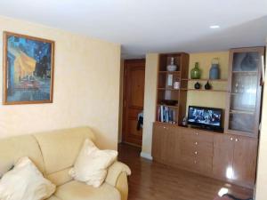 a living room with a couch and a tv at EL TRASTERO in Santa Marta de Tormes