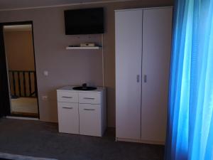 TV o dispositivi per l'intrattenimento presso Apartment Dedine Golubac