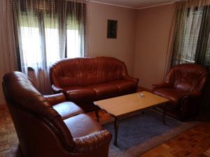 Area soggiorno di Apartment Dedine Golubac
