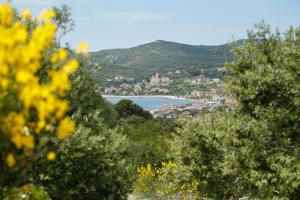 Fotografia z galérie ubytovania Apartman Paula 2 v destinácii Vinišće