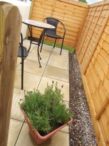 a patio with a table and two chairs and a table and a plant at Auntie Bett's - Cosy double ensuite room with mini kitchen in Kingsbridge