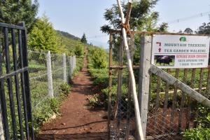 Zahrada ubytování Green Nest Resort Ooty