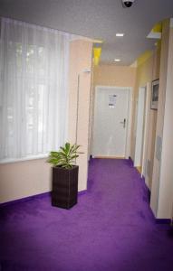 a hallway with purple carpet and a potted plant at Aurellia Apartments in Vienna