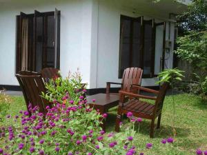 Zahrada ubytování Villa Fiori