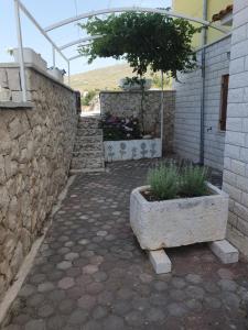 Fotografie z fotogalerie ubytování Apartment Josipa v destinaci Grebaštica