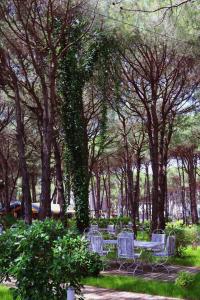 Giardino di Hotel Pishat e Buta