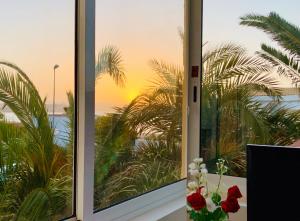 a window with a view of the ocean and palm trees at Apartamentos Fuerteventura Sol in Costa Calma +66 photos