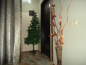 Fotografie z fotogalerie ubytování Guest House R&T v destinaci Tbilisi City