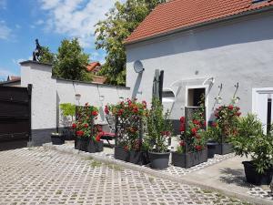Zahrada ubytování Pferdepension Jäger