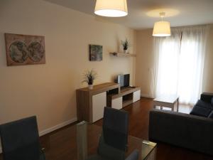 ein Wohnzimmer mit einem Sofa und einem TV in der Unterkunft Apartamentos turisticos Puente Romano Portal 4 Bajo -A in Salamanca