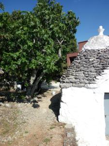 Fotografie z fotogalerie ubytování Villa Anna v destinaci Selva di Fasano