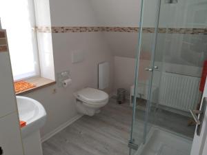 een badkamer met een toilet en een glazen douche bij FeWo S.Scholz in Wernigerode