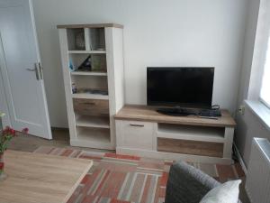 een woonkamer met een televisie op een houten standaard bij FeWo S.Scholz in Wernigerode