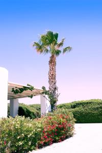 Vonkajšia záhrada v ubytovaní Golden Sand Paros