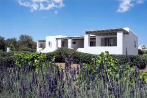 クリシ・アクティにあるGolden Sand Parosの紫の花の白い家