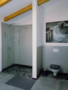 a bathroom with a shower and a toilet at Heimatliebe Ferienwohnung in Börgerende-Rethwisch