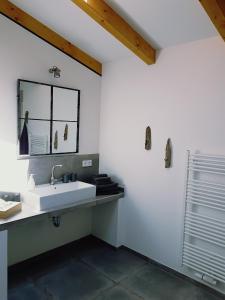 a bathroom with a sink and a mirror at Heimatliebe Ferienwohnung in Börgerende-Rethwisch