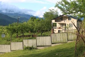 Příroda nedaleko bed and breakfast