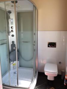 uma casa de banho com um chuveiro e um WC. em Apartment Leon em Bonn