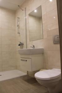 uma casa de banho com um lavatório, um WC e um espelho. em Apartament /domek u Tomka em Mikolajki