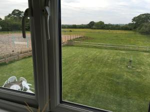 Folly Fields Farm B&B外面的花园