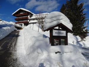 a building covered in snow next to a road at Der Berghof in Hirschegg