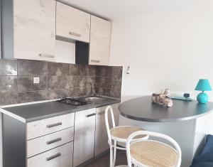 Kuchyň nebo kuchyňský kout v ubytování Apartments Silver
