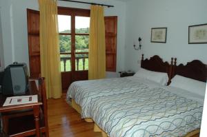 a bedroom with a bed and a tv and a window at Hotel Rural El Texu in Arriondas