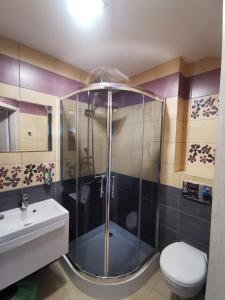 een badkamer met een douche, een toilet en een wastafel bij Serce Kaszub pokoje z widokiem na Zatokę in Swarzewo +56 foto's