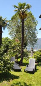 dwa krzesła i palma w trawie w obiekcie VILLA LAGO foreground - Pet friendly stay- garden-parking-Lake view- Bike friendly holiday house w mieście Colico