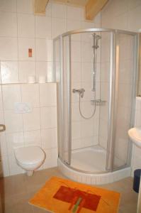 łazienka z prysznicem i toaletą w obiekcie Mecki's Dolomiten Panorama Stubn w mieście Debant