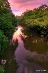 a view of a river with trees and a sunset at La Selva Biological Station in Sarapiquí