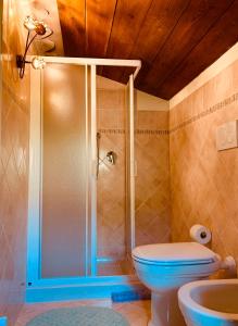 a bathroom with a shower and a toilet at La Casa di Elia in Arcidosso