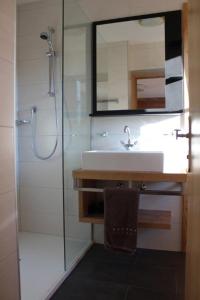uma casa de banho com um lavatório e um chuveiro com um espelho. em Haus Martina Buchhammer em Fendels