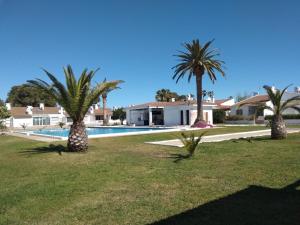três palmeiras num quintal com piscina em Apartamento Guillem em Riumar